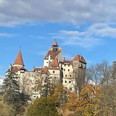 Casa Dudu Villa Alsómoécs Kültér fotó