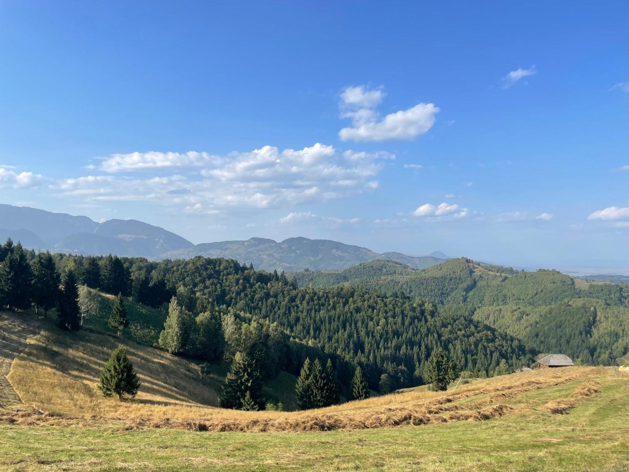 Casa Dudu Villa Alsómoécs Kültér fotó