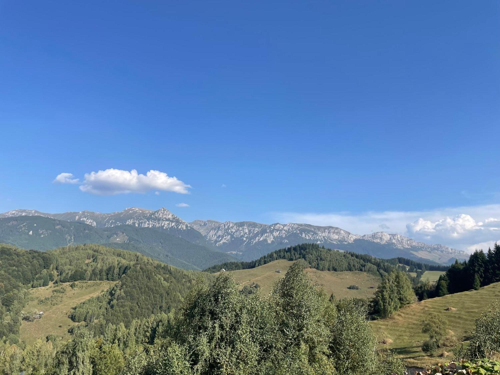 Casa Dudu Villa Alsómoécs Kültér fotó