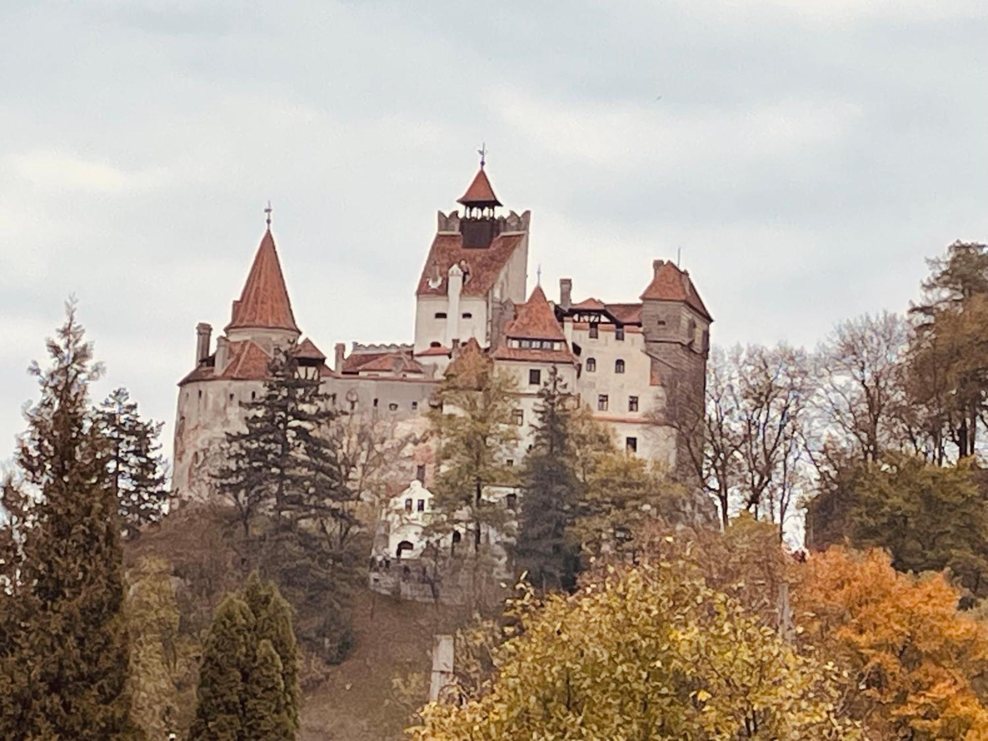Casa Dudu Villa Alsómoécs Kültér fotó