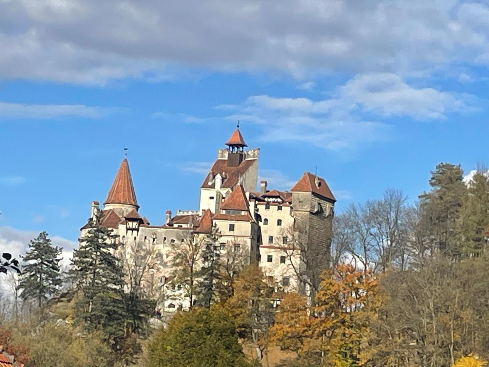 Casa Dudu Villa Alsómoécs Kültér fotó